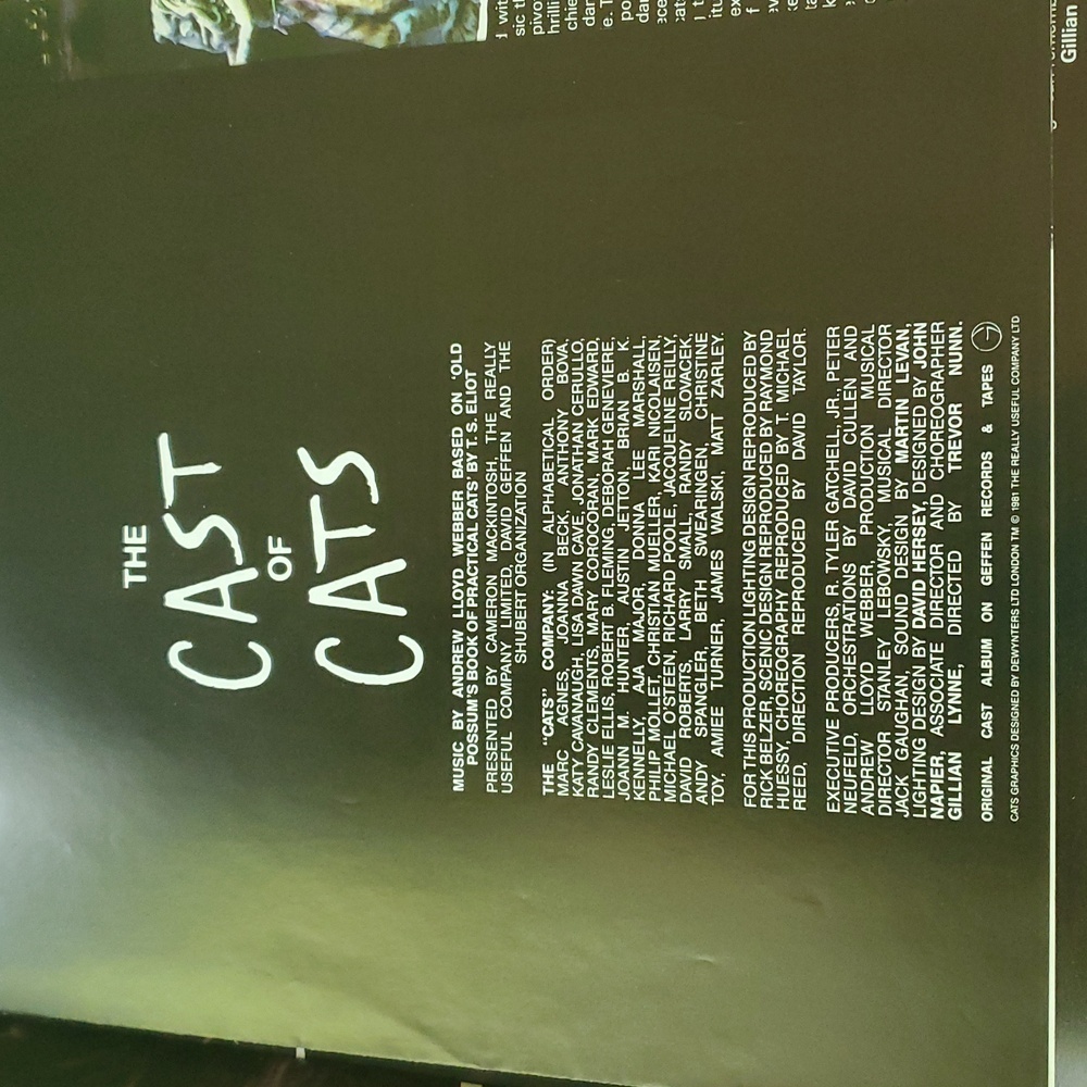 🩵 1981 CATS Musical Broadway Program & Cast Bio Insert Chicago - Picture 5 of 7